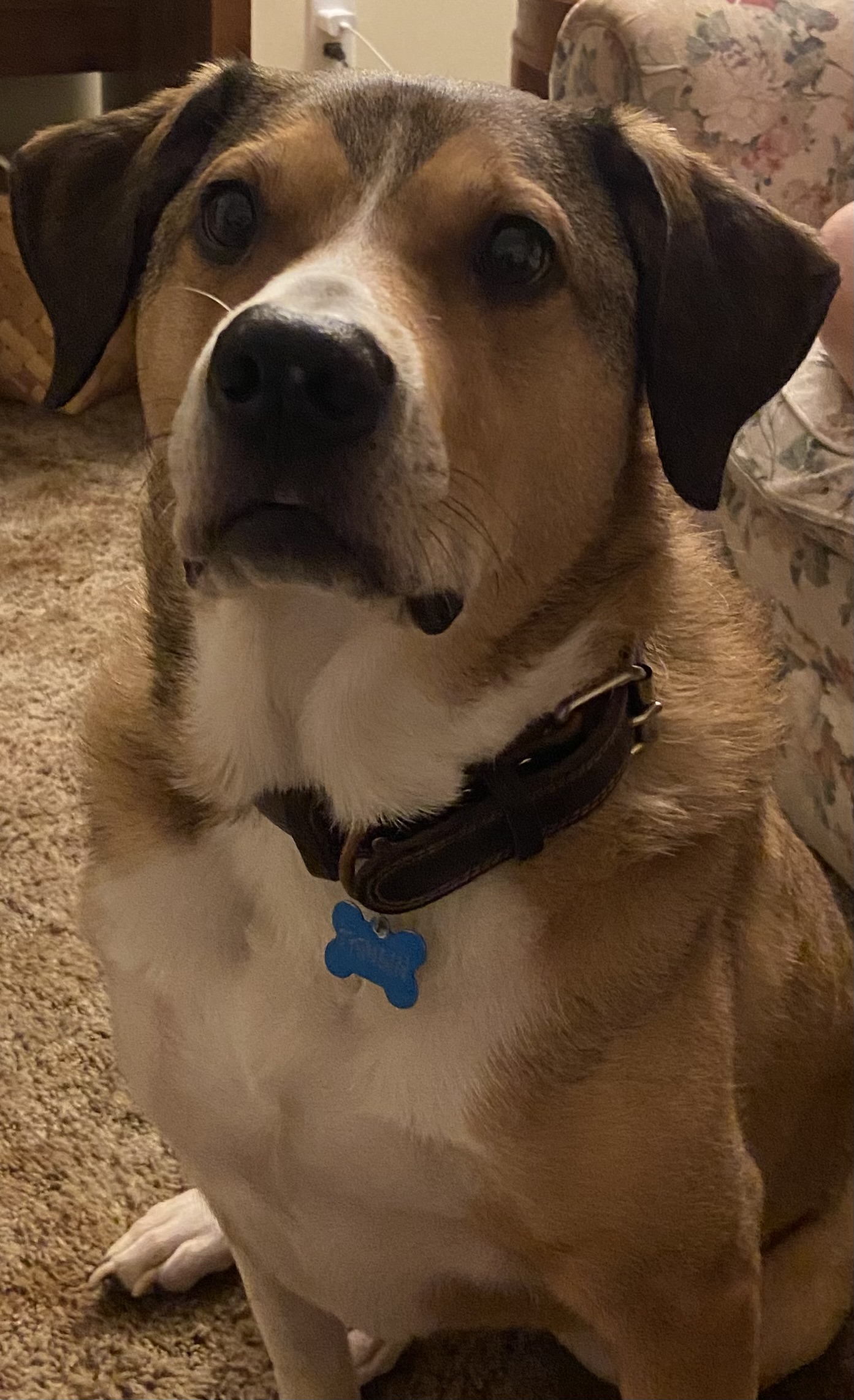 Tater
